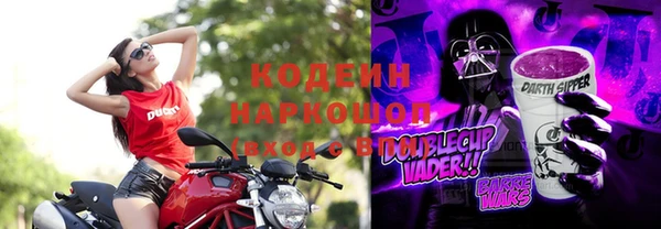 хмурый Арсеньев
