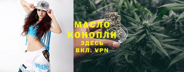 индика Армянск