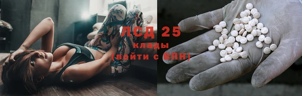 индика Армянск