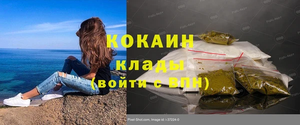 индика Армянск